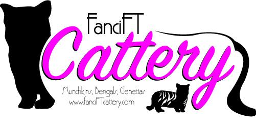 FanciFT Cattery