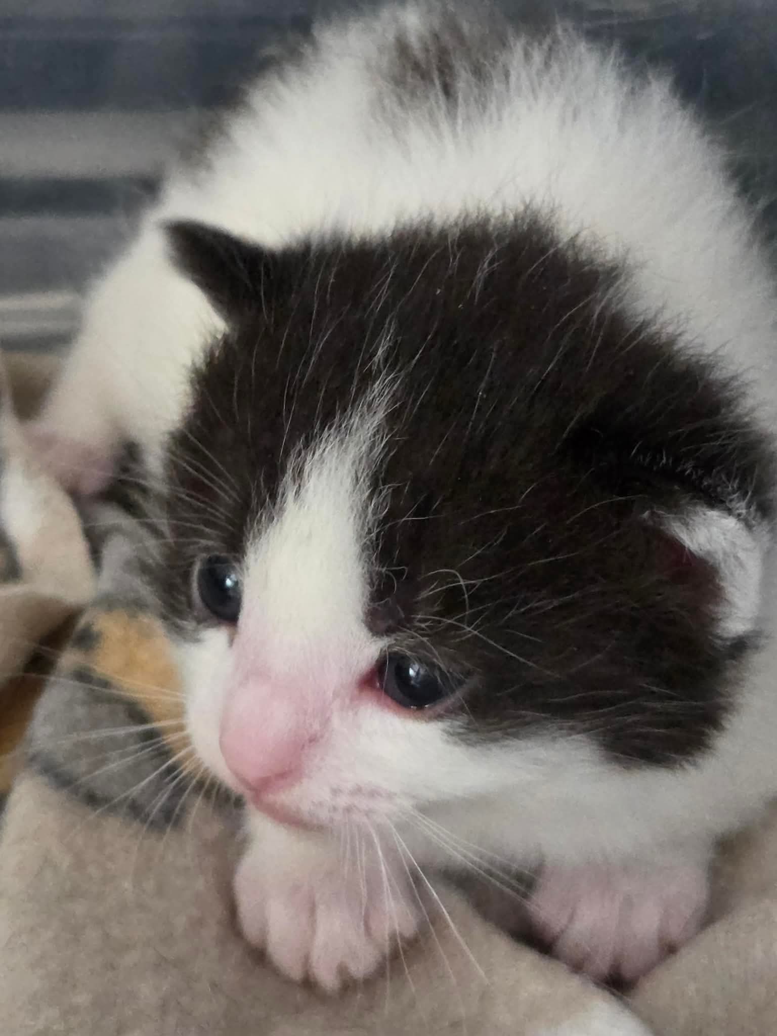 48635f1f0ef189dfdbe59e8fb60b4285