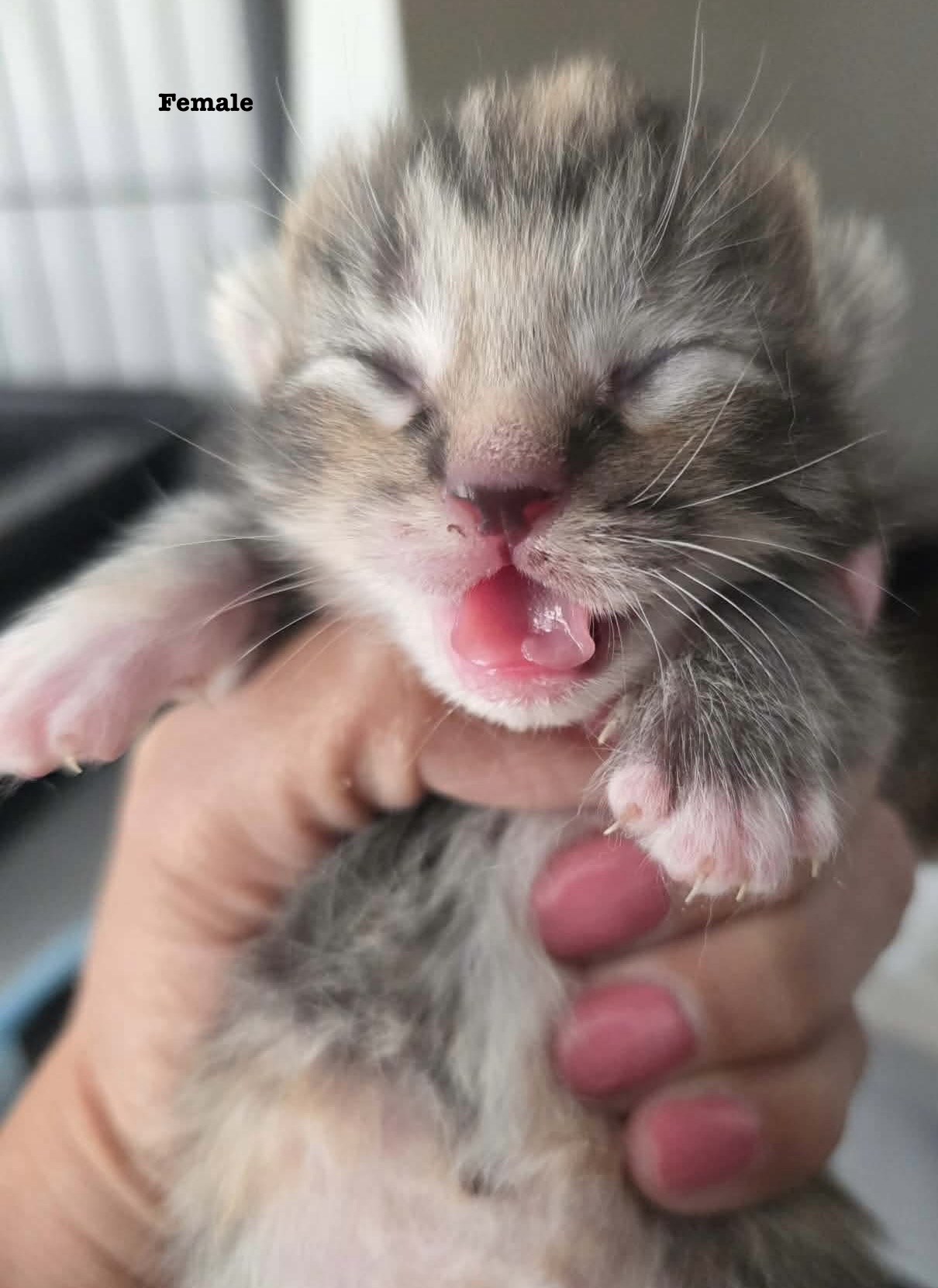 624150354c891ff85292fb8dd39aeae7