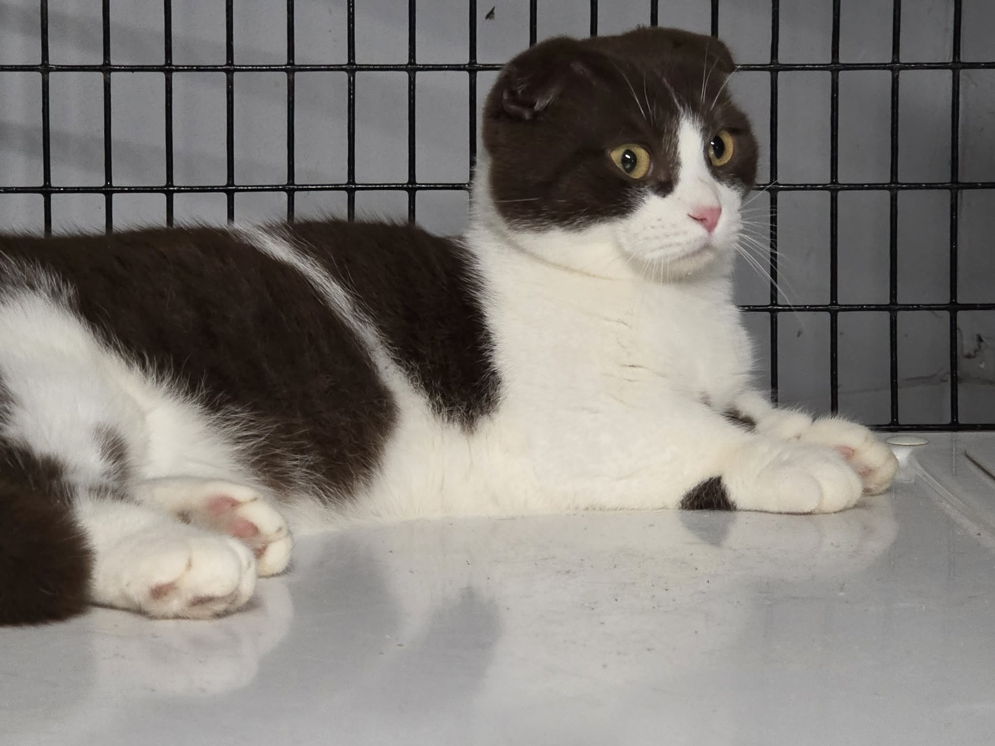 656043207_1483511156779510_9178278605823350531_n