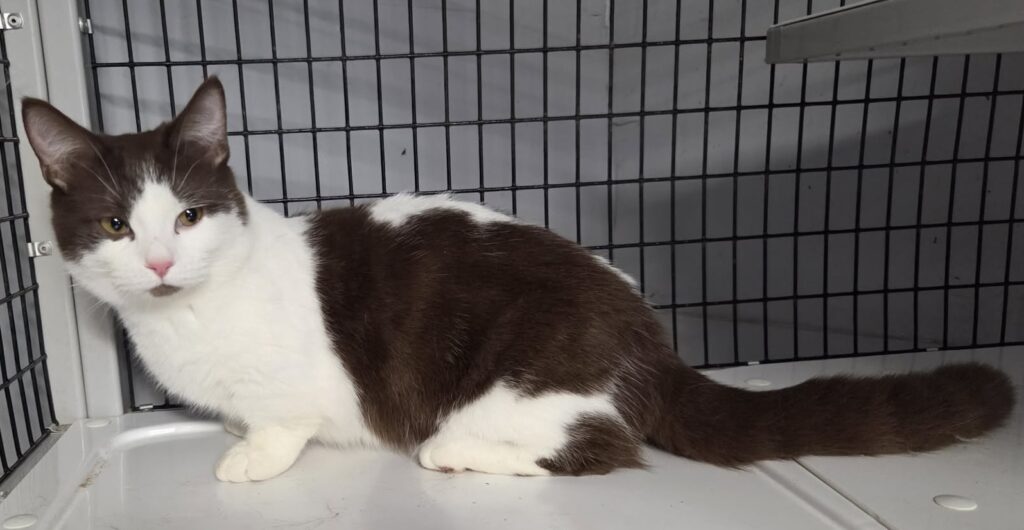 656979283_1272652048155936_8975021220973205462_n