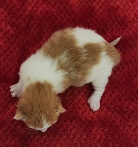 674475399_1858588858152028_3308118389784227810_n