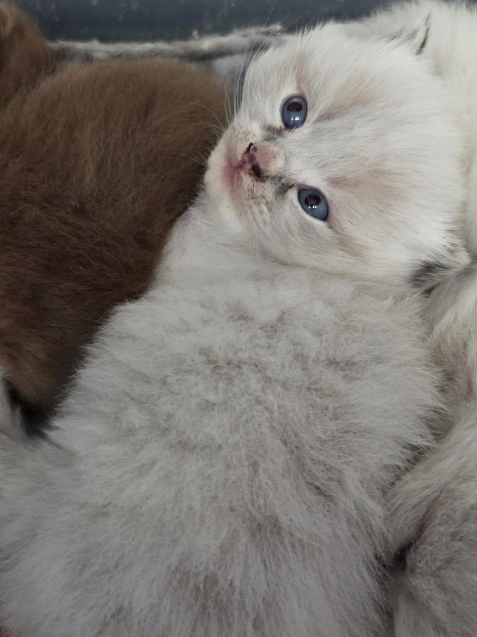 91e6d96adf6e0c78204321377cfc3794