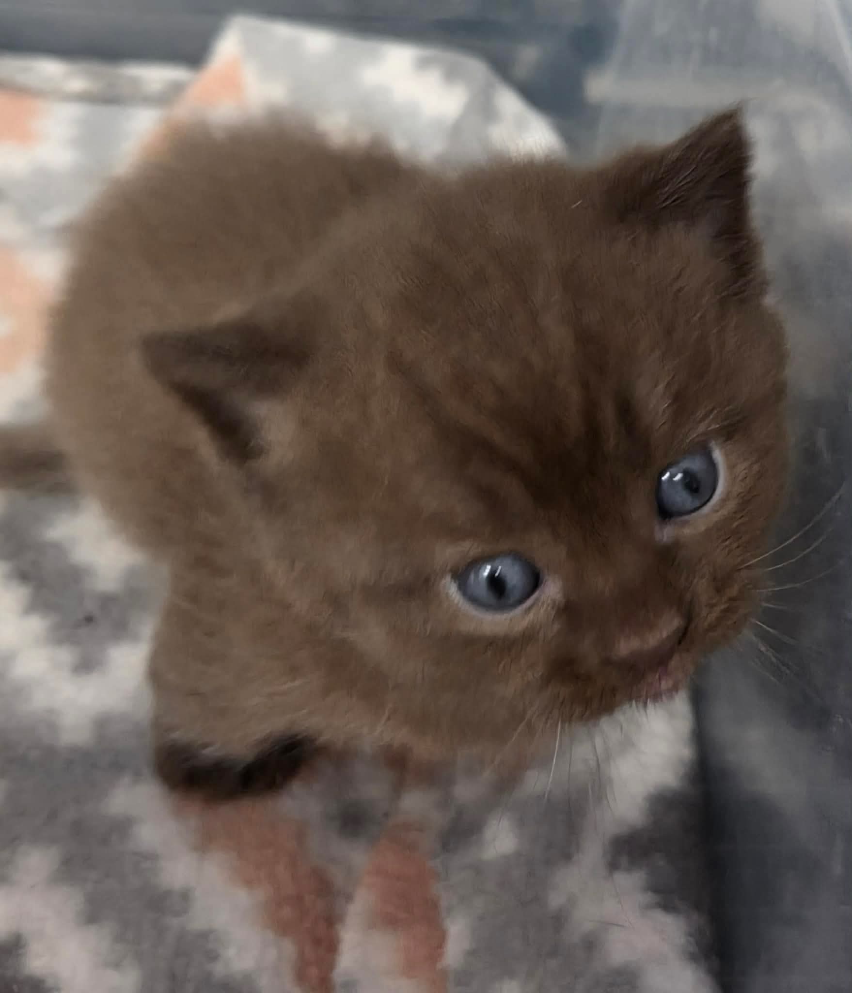 be79cb6eacd866a4d4862b9a390c113b