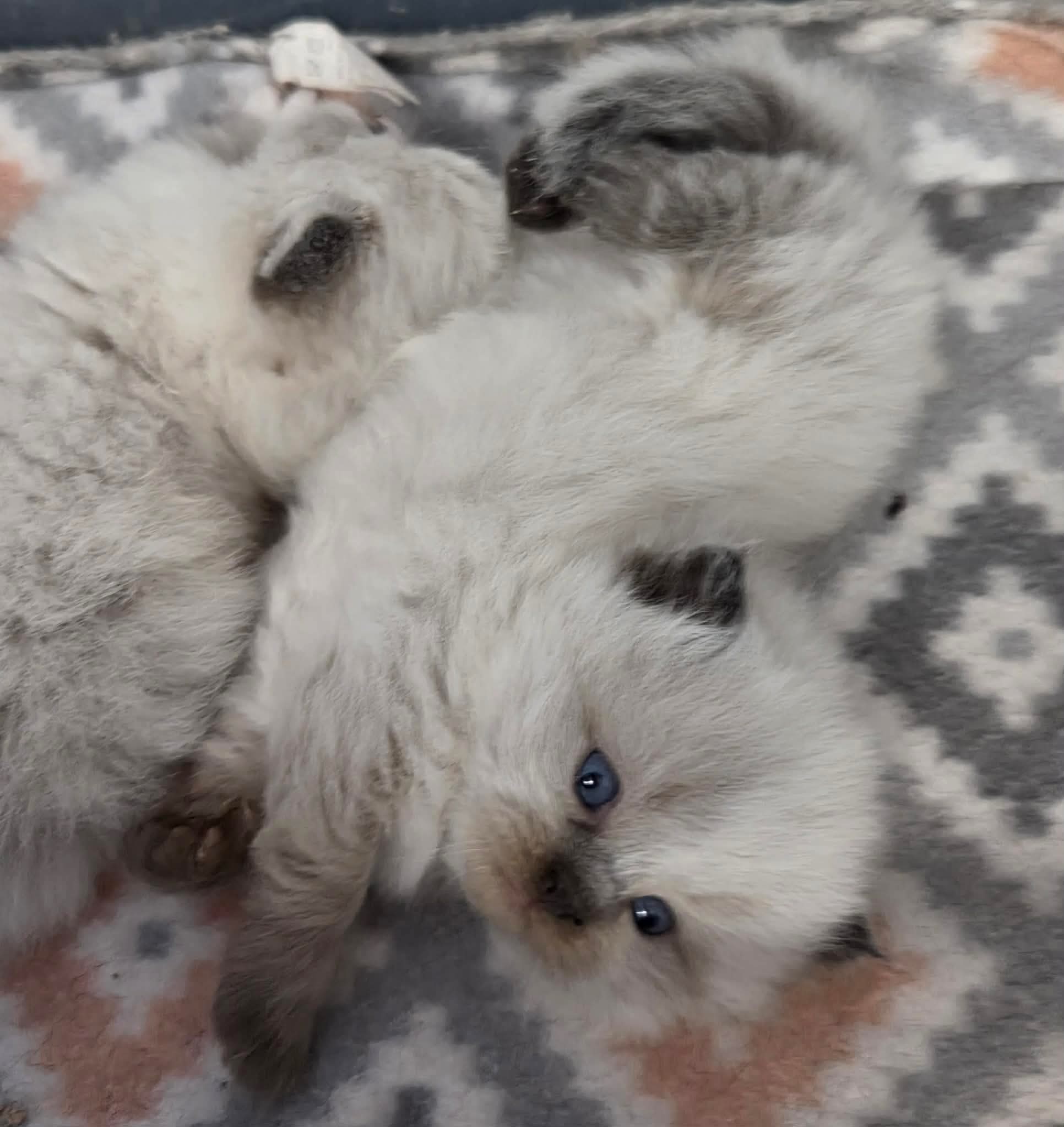 d6aec0a6cfd740d931244929309061ff