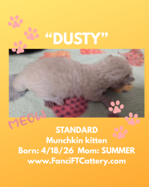 DUSTY