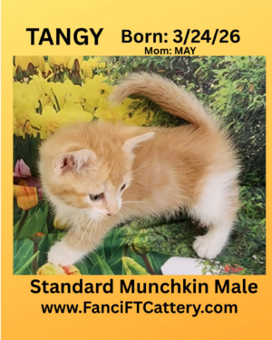 TANGY