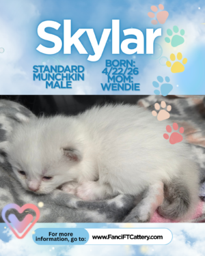 SKYLAR