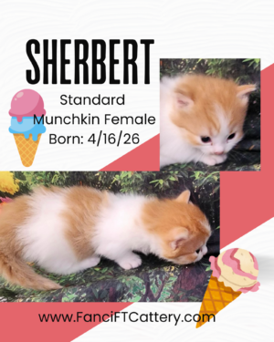 SHERBERT