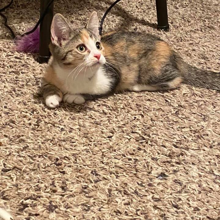 123775325_10218102318375838_8861940863954299741_n