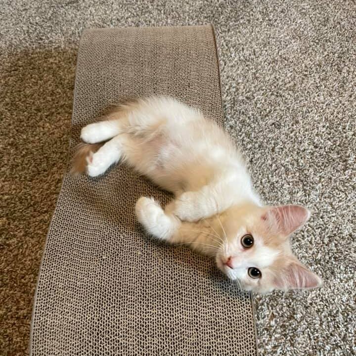 209545661_3089599101274505_6428327029160589551_n