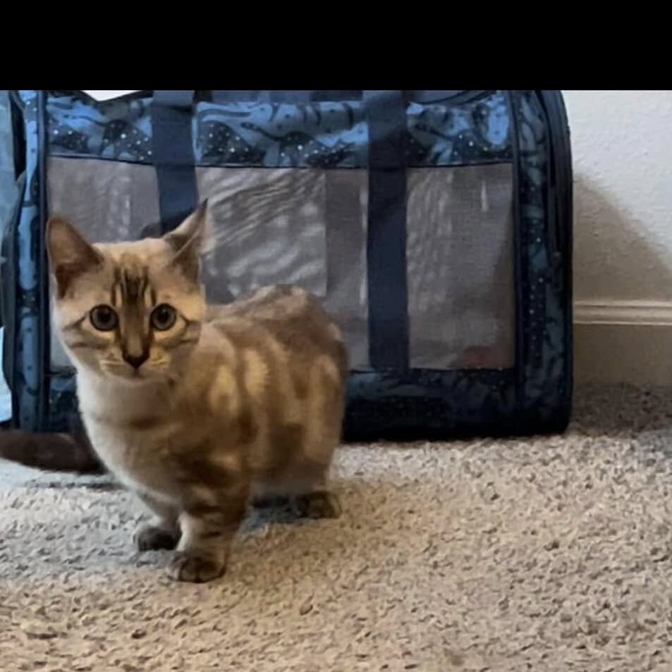 491683733_10232418021325982_299018134955065576_n