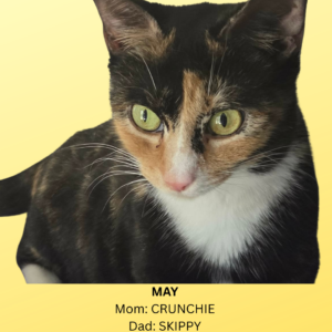 MAY Mom CRUNCHIE Dad SKIPPY-2