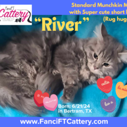 RIVER Rug hugger male