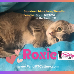 ROXIE-2