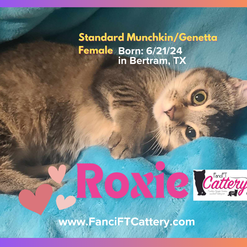 ROXIE-2